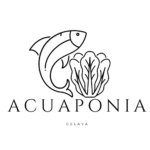 logo aqua