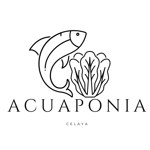 logo aqua